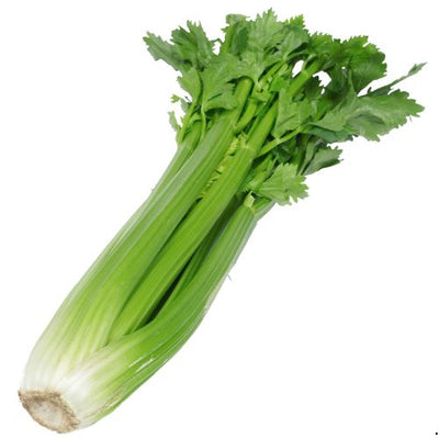 DAMDY CELERY