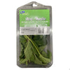 GO FRESH MINT 40G