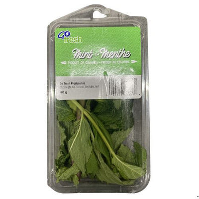 GO FRESH MINT 40G