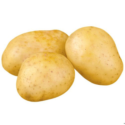 YUKON GOLD POTATO