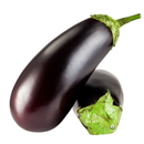 EGGPLANT