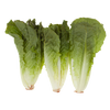 ANDY BOY ROMAINE HEART 3PK