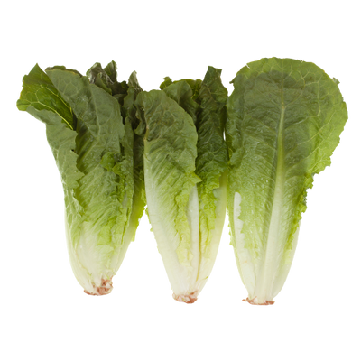 ANDY BOY ROMAINE HEART 3PK