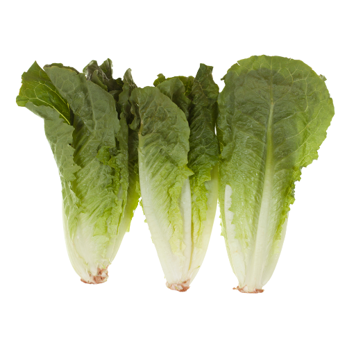 ANDY BOY ROMAINE HEART 3PK