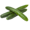 ENGLISH CUCUMBERS