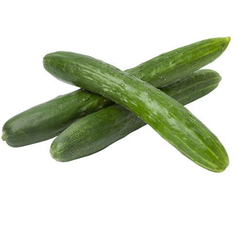 ENGLISH CUCUMBERS