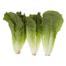 ANDY BOY ROMAINE HEART 3PK