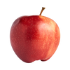 GALA APPLE