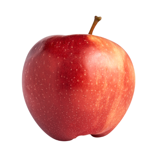 GALA APPLE