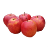 GALA APPLE