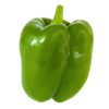 GREEN BELL PEPPER