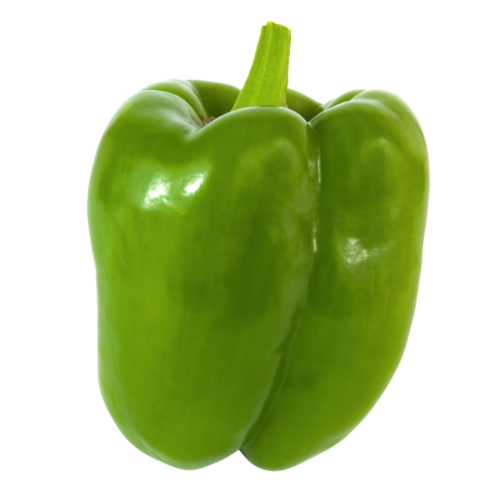 GREEN BELL PEPPER