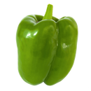 GREEN BELL PEPPER