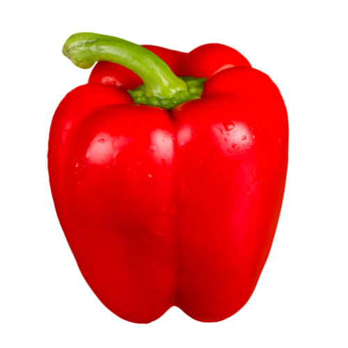 RED BELL PEPPER