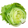LETTUCE ICEBURG