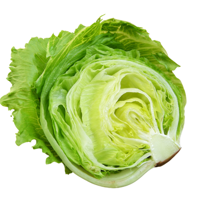 LETTUCE ICEBURG