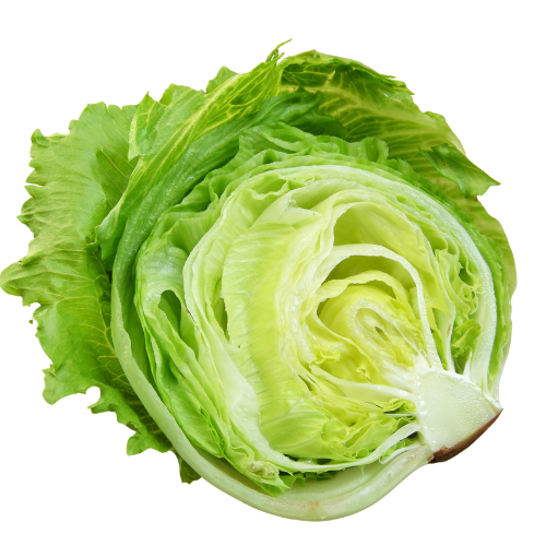 LETTUCE ICEBURG