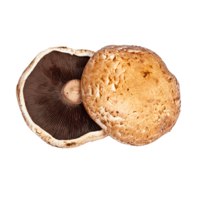 PORTABELLA MUSHROOM