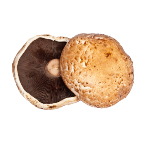 PORTABELLA MUSHROOM