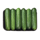 GREATLAKES MINI CUCUMBERS 6 COUNT