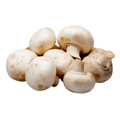 WHITE MUSHROOM