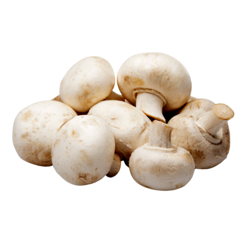 WHITE MUSHROOM