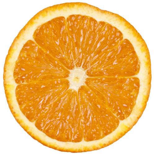 NAVEL ORANGES