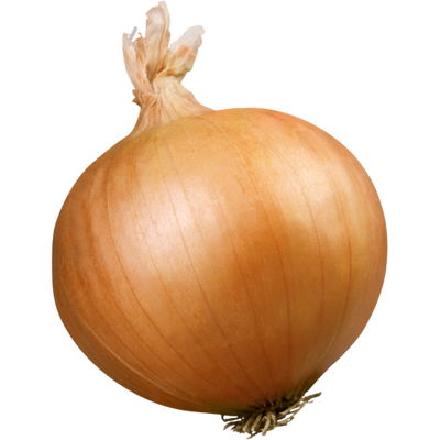 SPANISH ONIONS