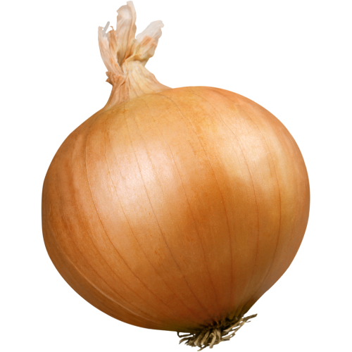 SPANISH ONIONS