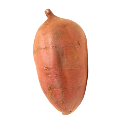 SWEET POTATO