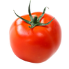 TOMATO HOT HOUSE