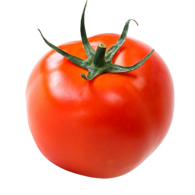 TOMATO HOT HOUSE