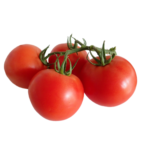 VINE RIPE TOMATOES